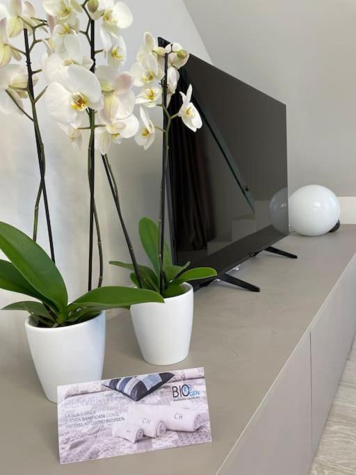 Queen Verona Luxury Apartment Dış mekan fotoğraf